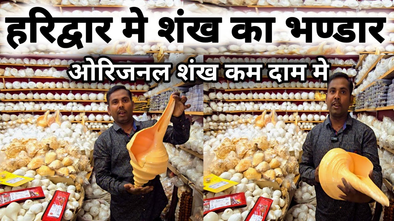 हरिद्वार में सबसे बड़ा शंख का भण्डार || Shankh Shop In Haridwar || Haridwar Video