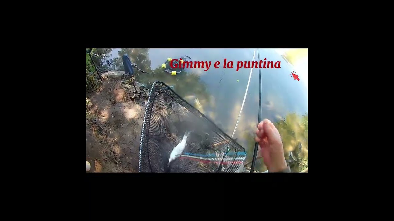 (Street Fishing Tevere) 11 mag A Pesca col Pirata - Cefali, Brema, Carasso, Carpa e Scardola (F&B)