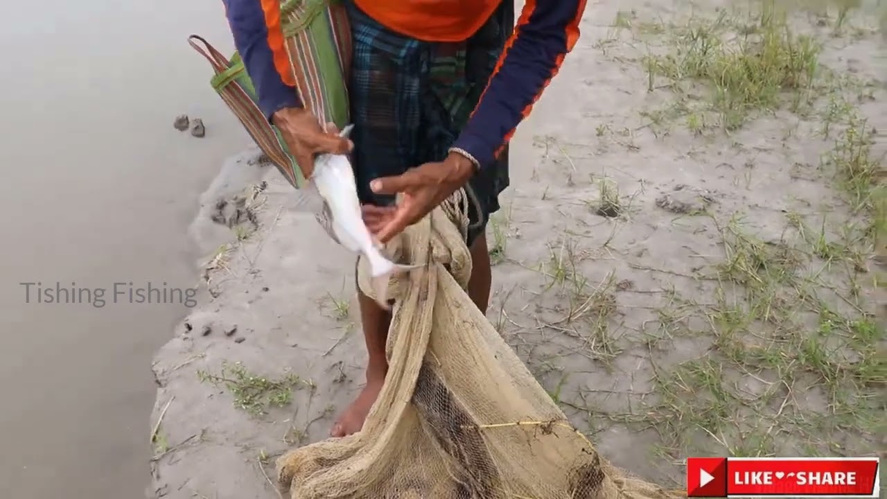Village Life : Amazing Net Fishing in a Small River