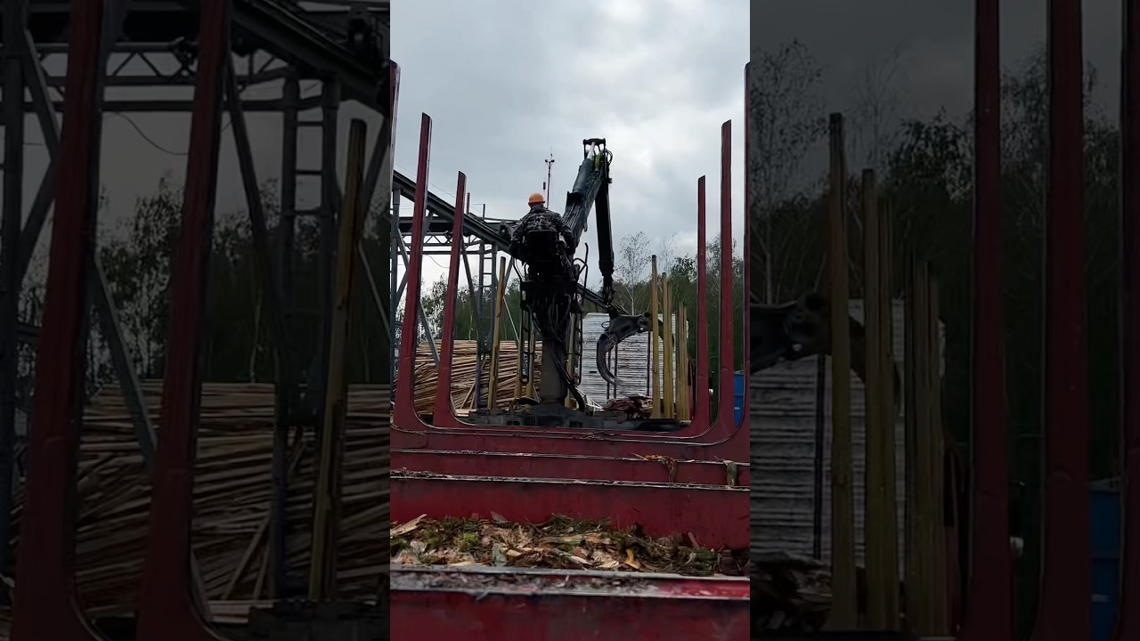Работа на лесовозе #работа #дальнобой