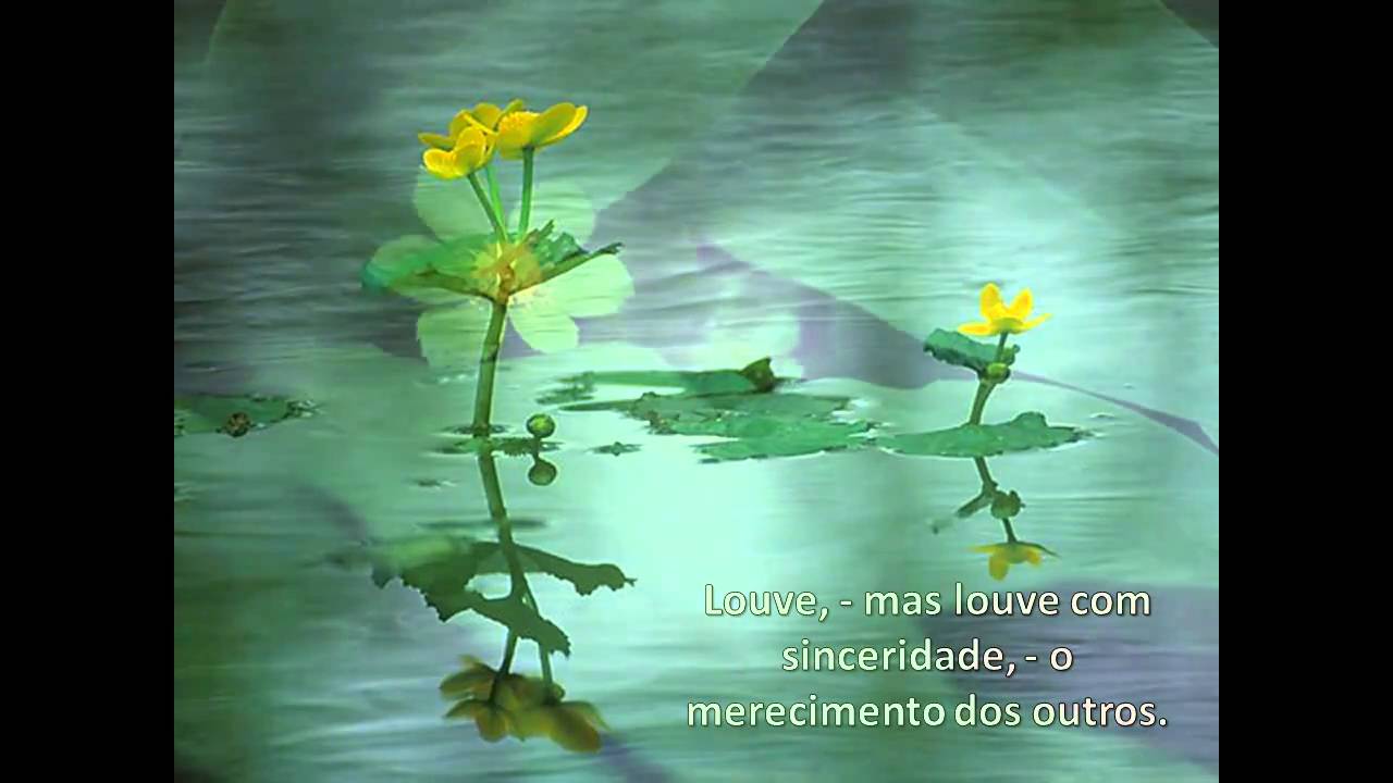 Desobsessão - André Luiz - Chico Xavier