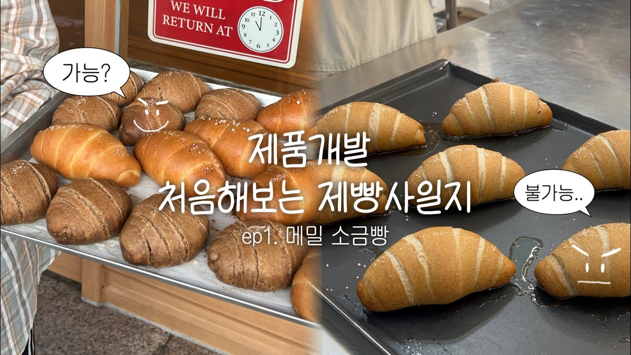 [월간제빵] 여전히 모르는게 참 ~ 많아서 공부해야하는 4년차 제빵사 김씨
