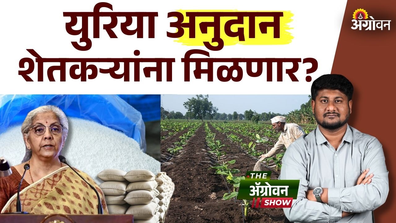 Fertilizer Subsidy :  अर्थसंकल्पात खत अनुदान शेतकऱ्यांना देण्याची घोषणा होणार? | Agrowon
