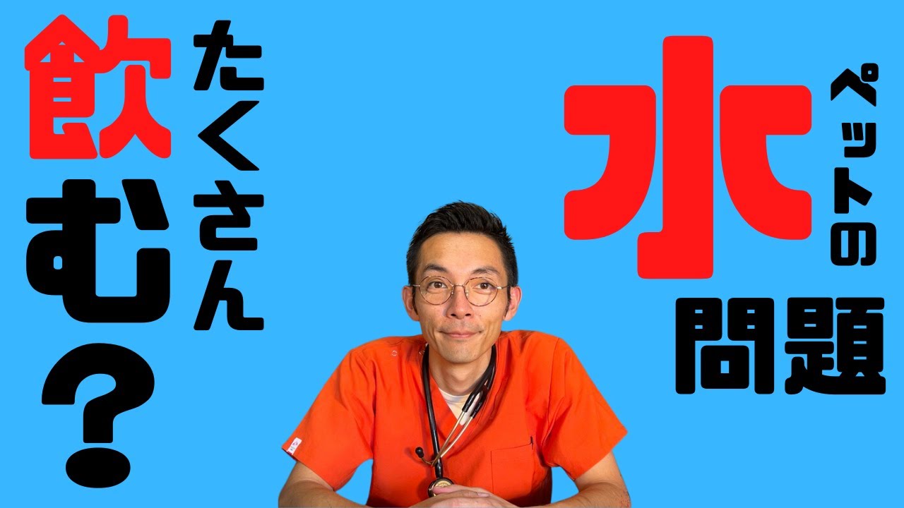 ペットの飲み水問題！たくさん飲む？飲まない？