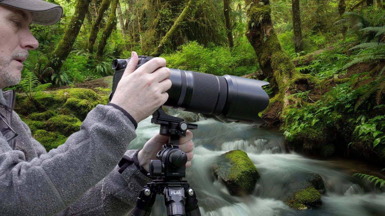 A REVISIT/ Photographing mossy trees on the west coast of VANCOUVER Island