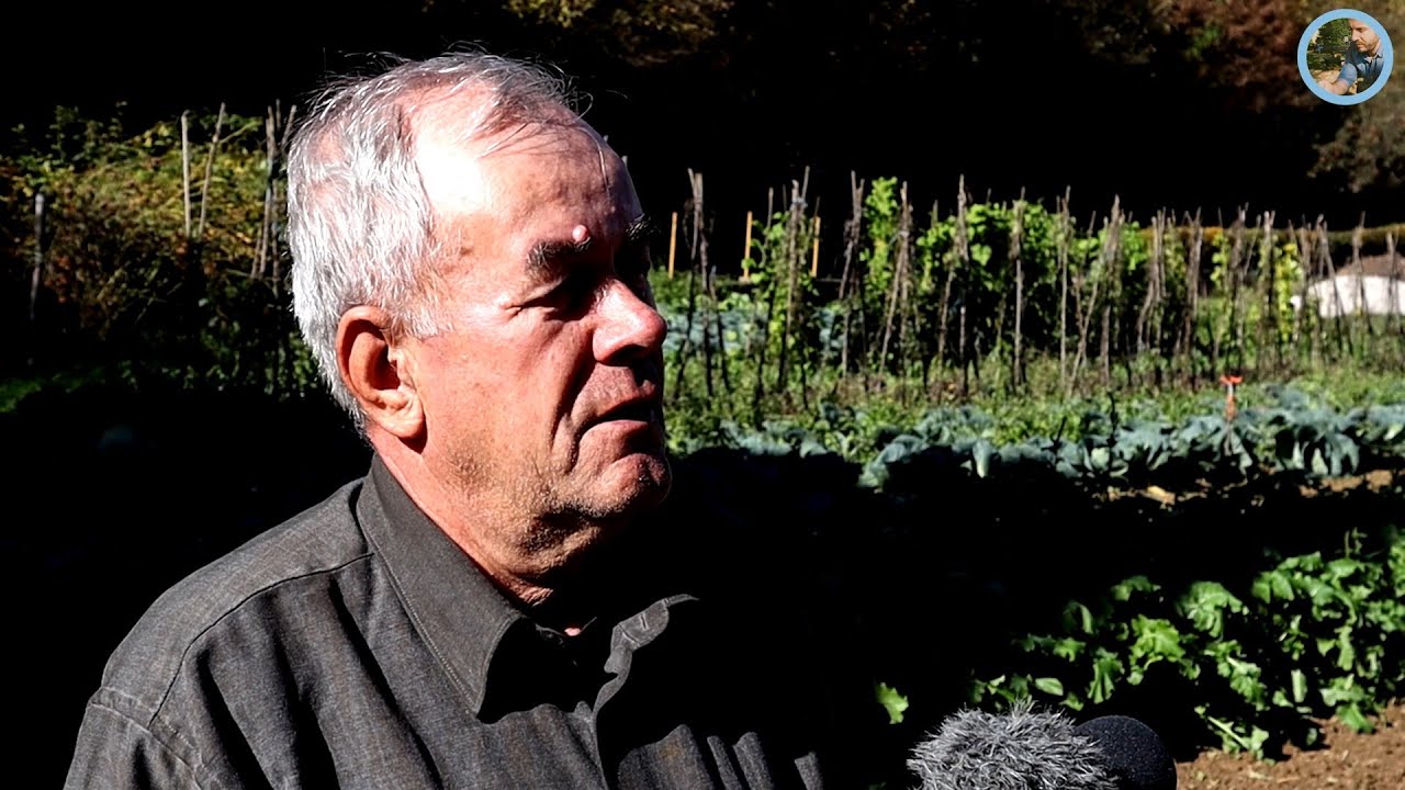 „Od tuge sam htio sve rasprodati ali ovo me spasilo“
