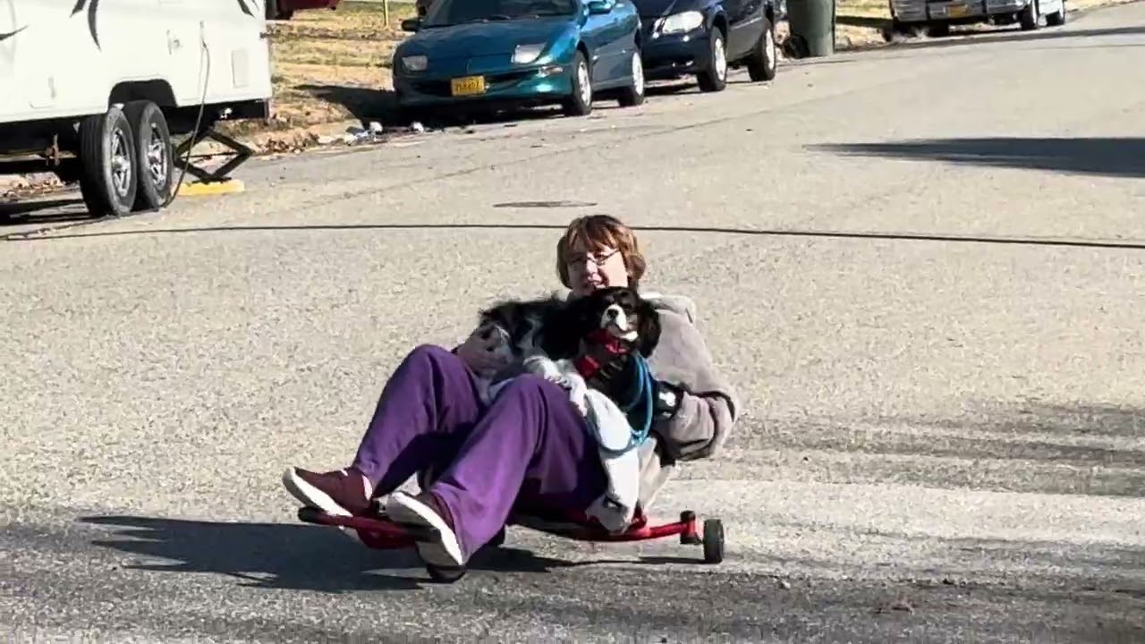 New way of walking Champ and exercising 