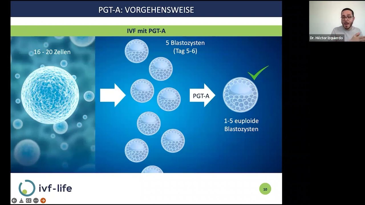 Alles, was Sie &uuml;ber PGT-A wissen m&uuml;ssen | IVF-Life - Dr H&eacute;ctor Izquierdo