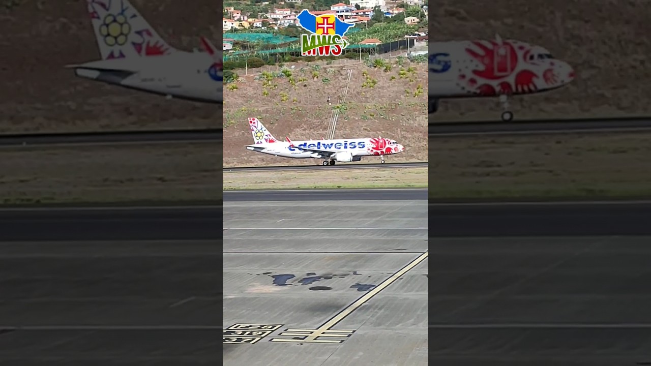 Edelweiss Help Alliance Livery