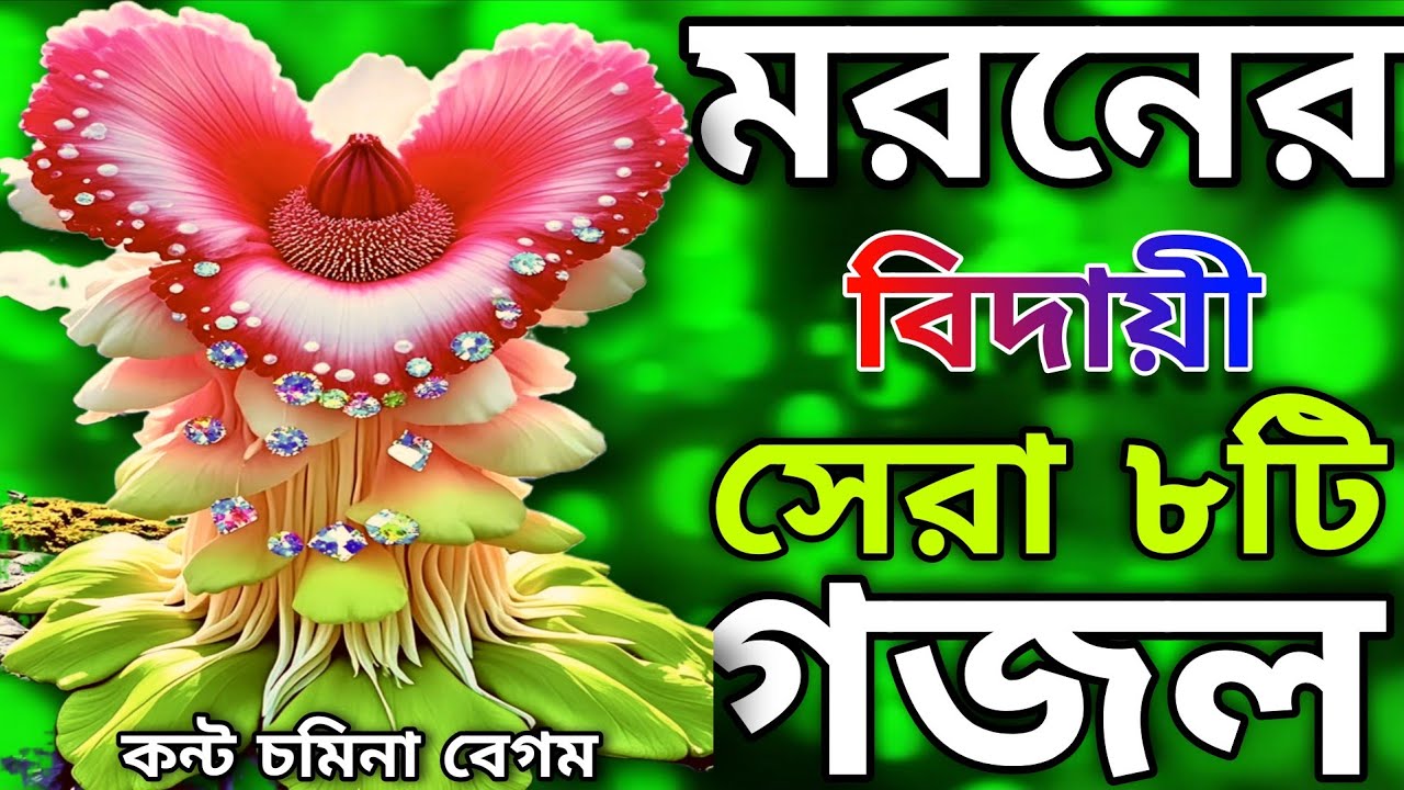 মরনের বিদায়ী সেরা ৮টি মন প্রাণ জুড়ানো মায়াবী কণ্ঠে নতুন গজল // Somina Begum //New hart taching gojol