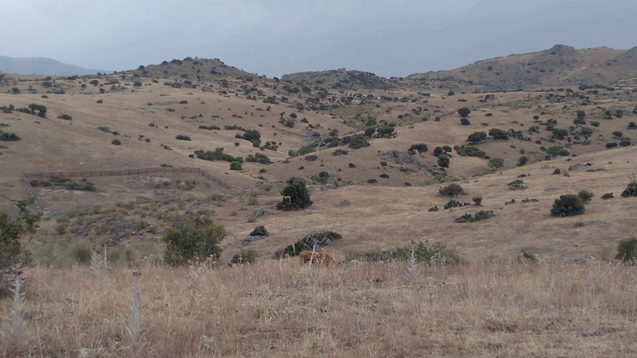 Pico San Pedro y Dehesa de Colmenar, todo seco.