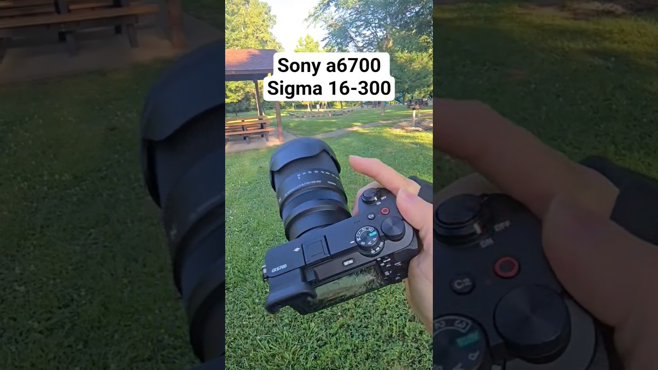 Sony a6700 with Sigma 16-300! Day 2 of Posting EVERYDAY! #shorts #photography #sonyalpha