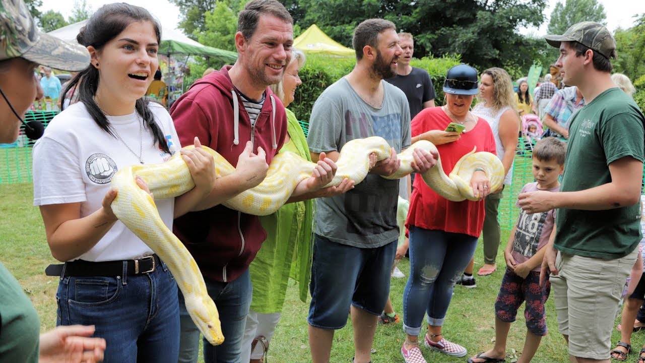 Hotham Park Country Fair 2019 - Free Photos and Video by Neil Cooper