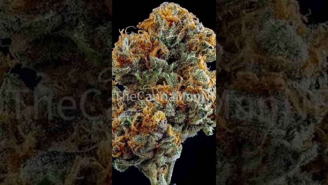 #Cannabis #NFTs coming soon!! 😎💵💸🚀🔜 #ethereum #ETH #marijuana #weed