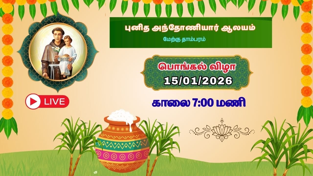 Saint Antony's Church Tambaram  pongal celebration ✨