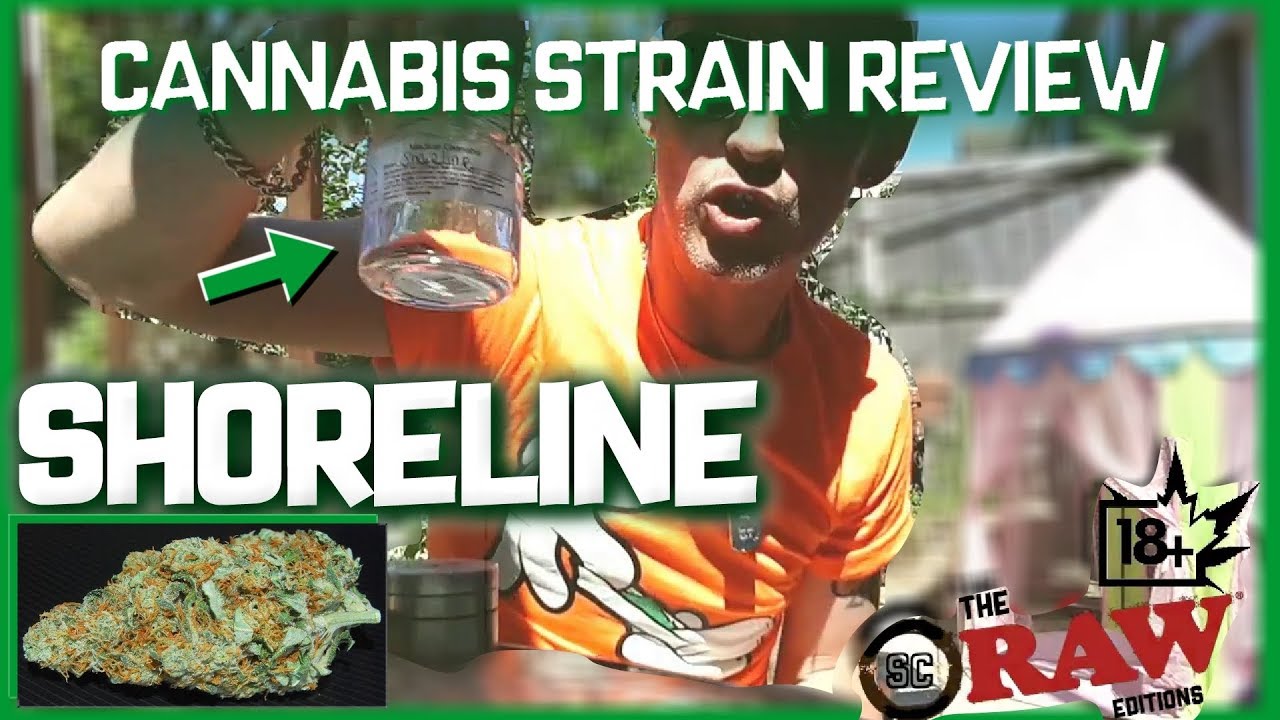 Cannabis Strains In The UK - SHORELINE - Cannabis Strains Review and Ratings (Weedview RAW Editions)