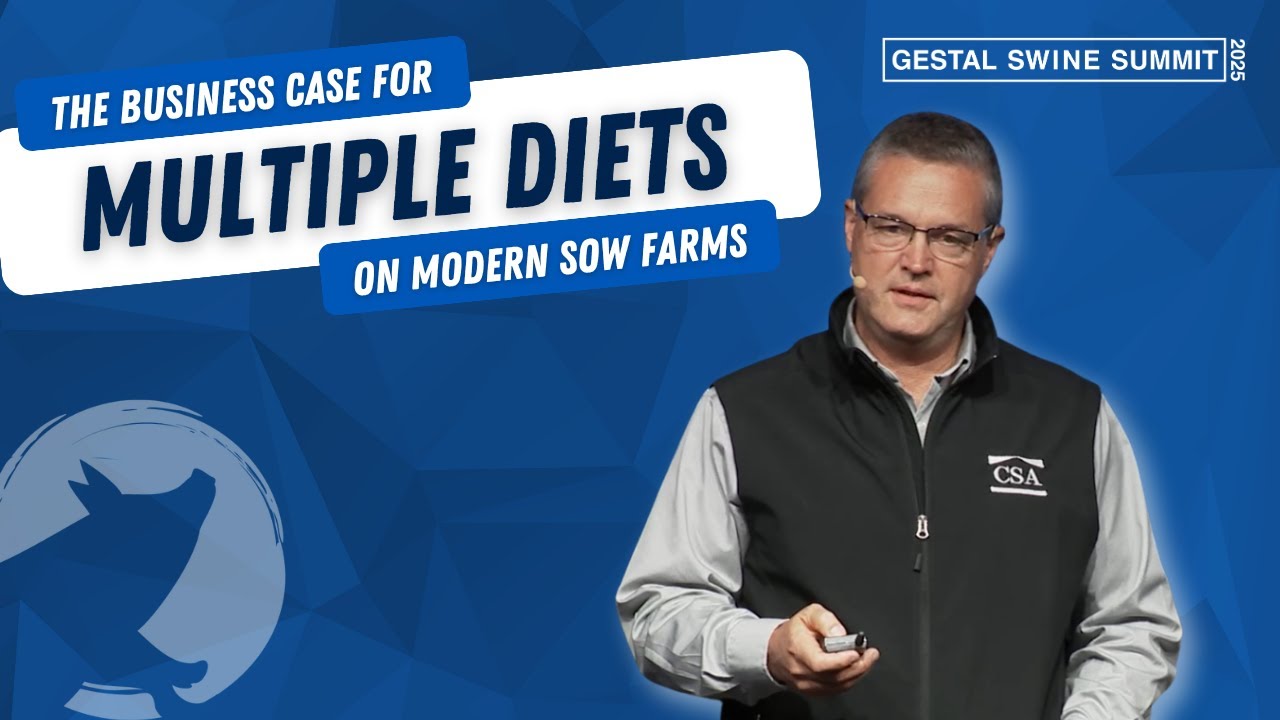 The Business Case for Multiple Diets on Modern Sow Farms.