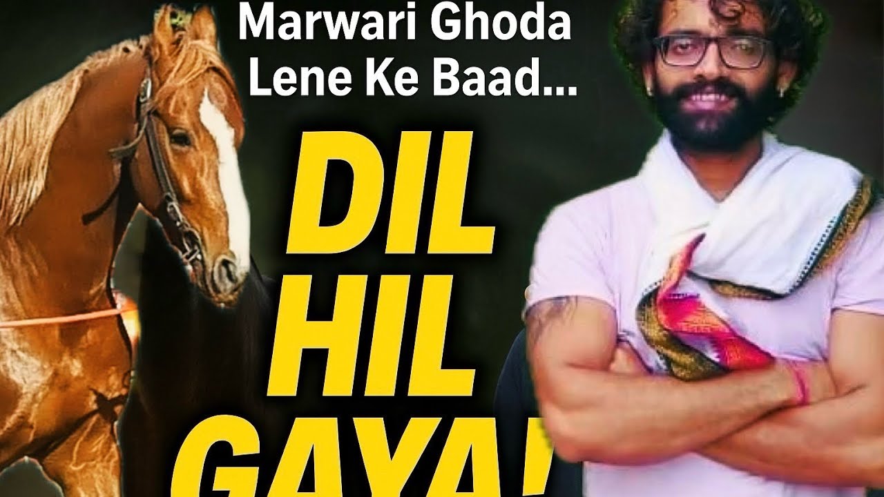  Marwari Ghoda Lene Ke Baad Jo HUA, Dekh Ke Dil HIL GAYA!” #horse #horsevlog 