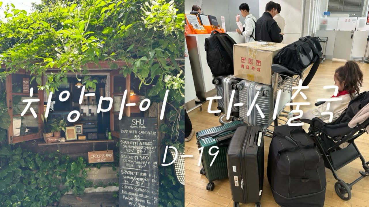 [치앙마이 이사 🇹🇭D-19]마지막까지 알차게 즐긴 치앙마이 한달 뒤 다시 출국한 이유는?!