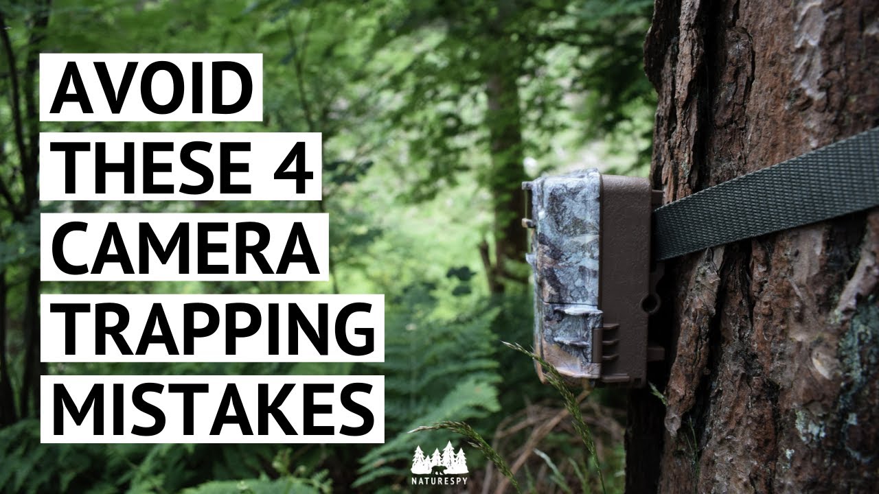 Avoid these 4 trail camera mistakes
