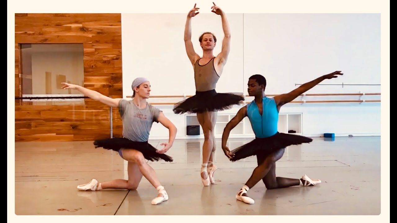 CONTEMPORARY & BALLET MALE DANCERS CCIV - COFL