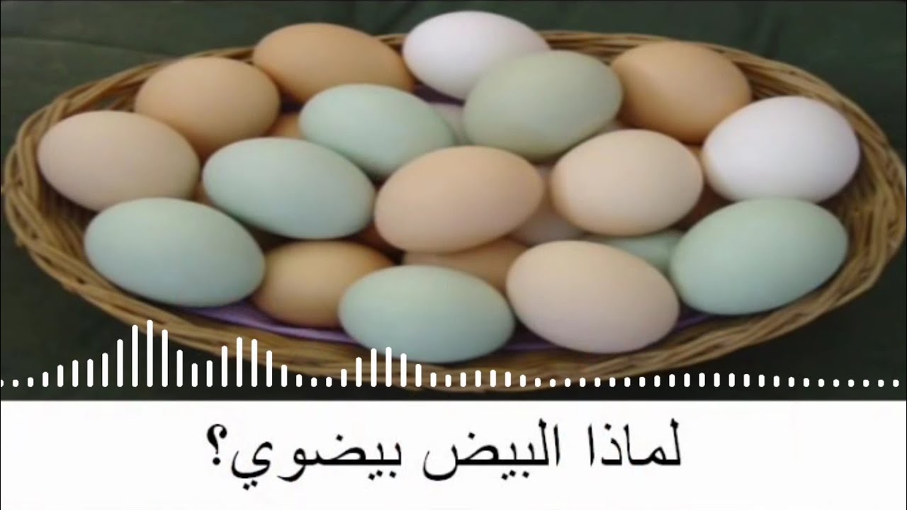 اغنية لماذا نحن هنا؟ 😝سؤال صعب سؤال صعب 😍🤩.