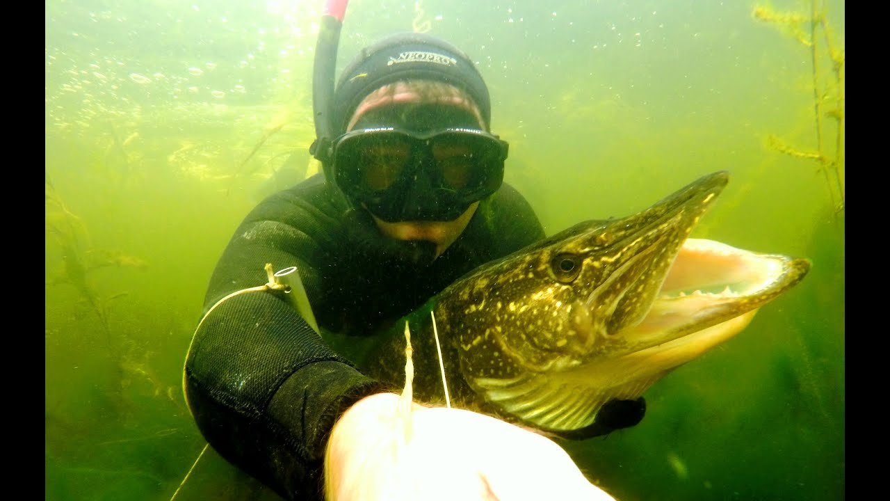 Охота в Саратове - подводная охота GoPro