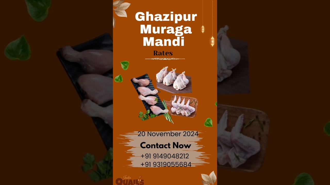 Quail (Bater) live Bird or Dressed Meat Available | Bater India Quail Farm | Quail Bater!!