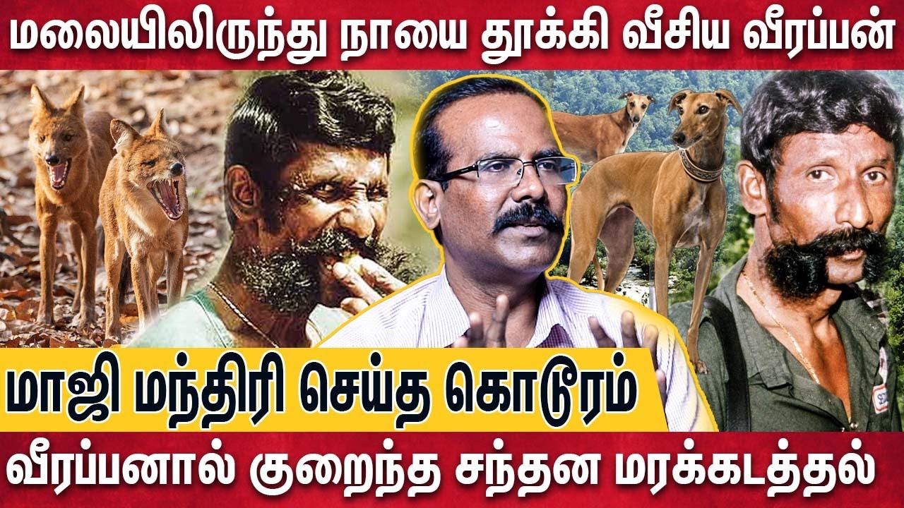 வீரப்பன் காட்டில் புதைத்த பணத்தை இன்றும் தேடும் மர்ம கும்பல் - பகீர் கிளப்பிய Crime Selvaraj