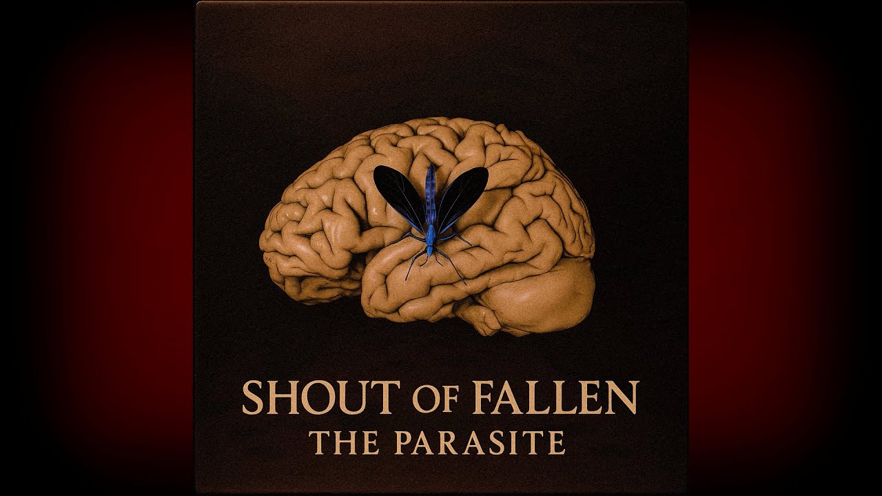 Shout of Fallen - New Order
