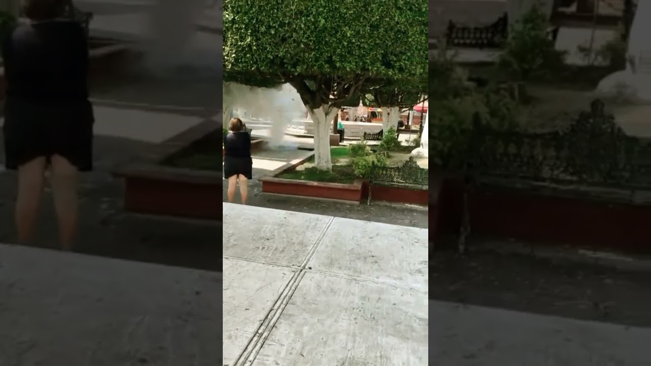 el enchorizado