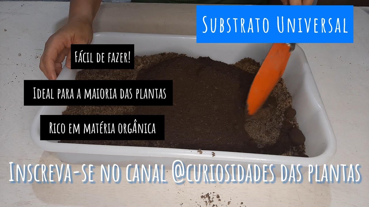SUBSTRATO UNIVERSAL para a MAIORIA das plantas