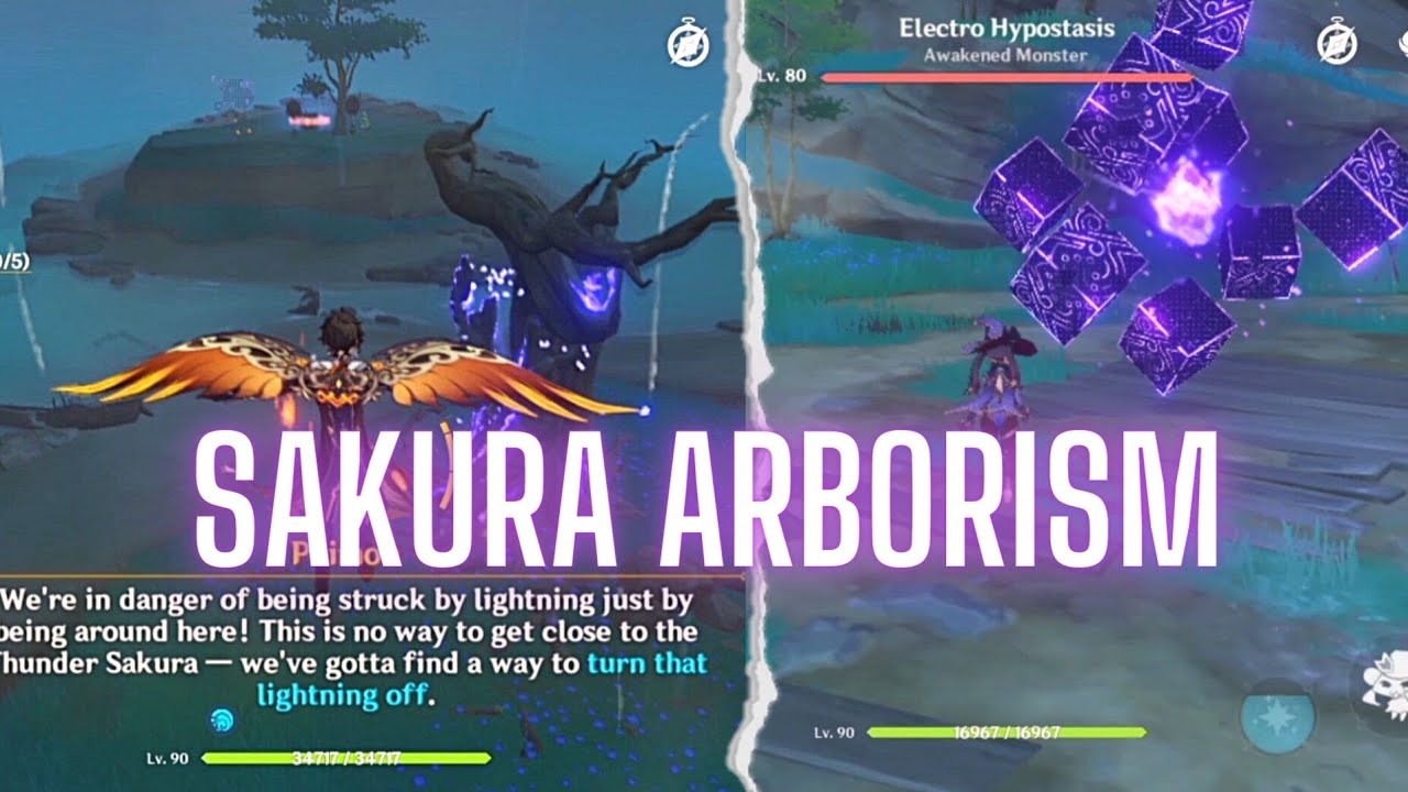 [Genshin Impact] Sakura Arborism Full Quest Remove The Juvenile Antics Left on the Thunder Sakura