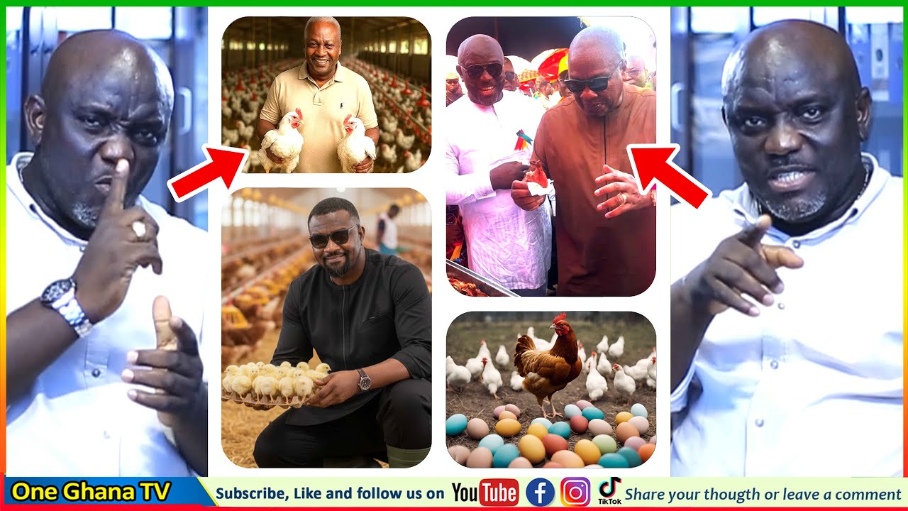 Attαck Mahama’s Reset & Face God’s Wrαth, His Project Made Me A Successful Poultry Farmer - Boris B