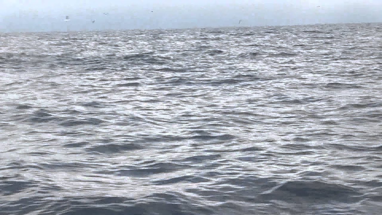 Delta inferno Vamos de pesca 1er capitulo 2ª temporada