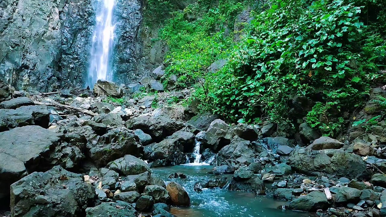 Peaceful Forest River Flow – Relaxing Water Sounds for Sleep 1080p HD