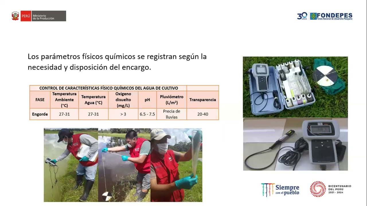 Curso 02: Engorde de Sábalo de Cola Roja | Módulo IV
