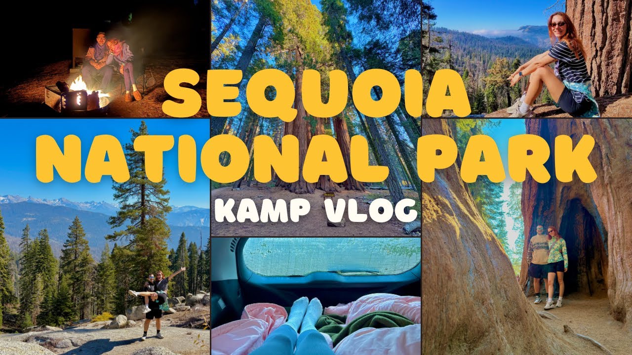 Sequoia National Park’ta Kamp Yaptık! 🏕️🚗 arabada uyumak, dünyanın en büyük ağacı, 2 saatlik hike
