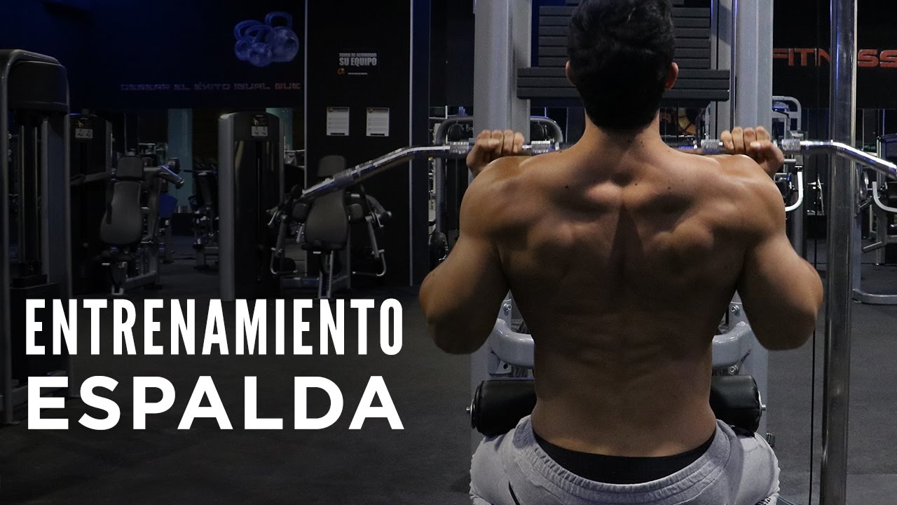 Rutina para espalda | Rodrigo Romeh