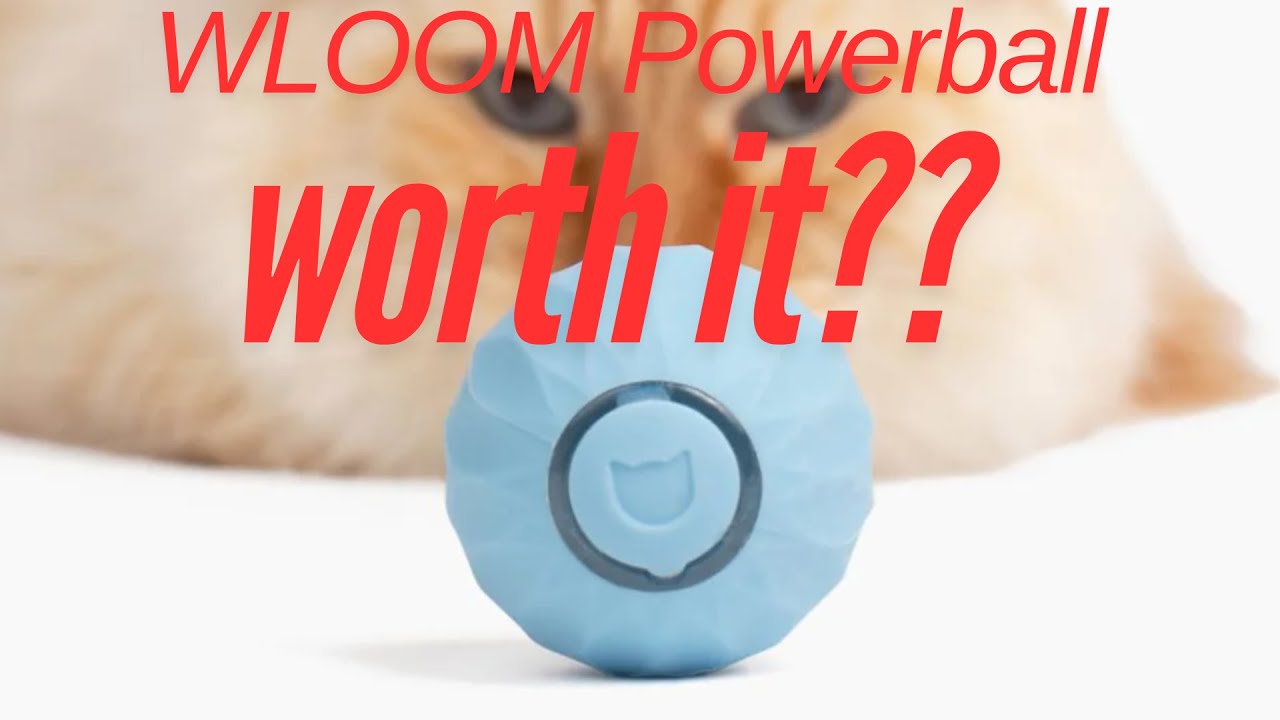WLOOM POWERBALL Cat TOY - Is It Worth It?