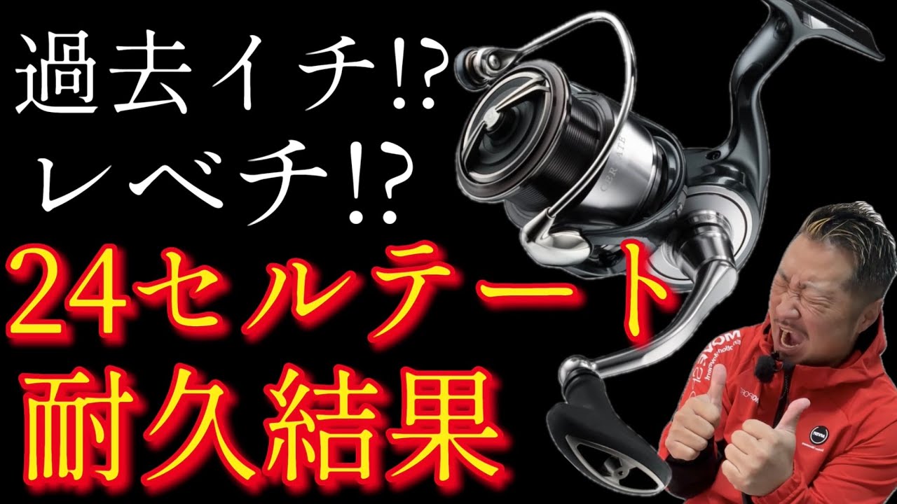 【神回】とんでもない！24セルテートの耐久レビュー！