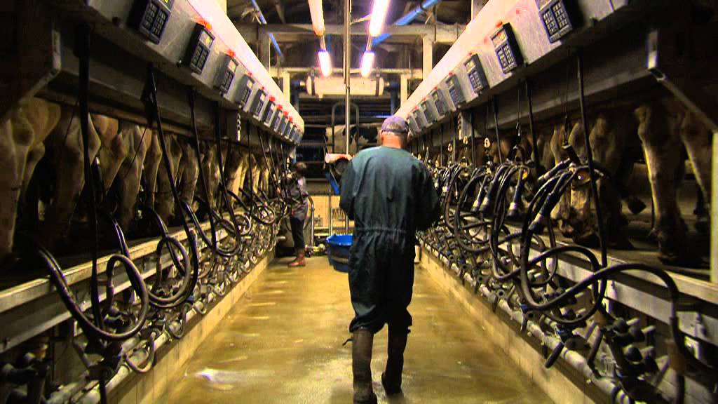 Lesaffre - Corporate Video