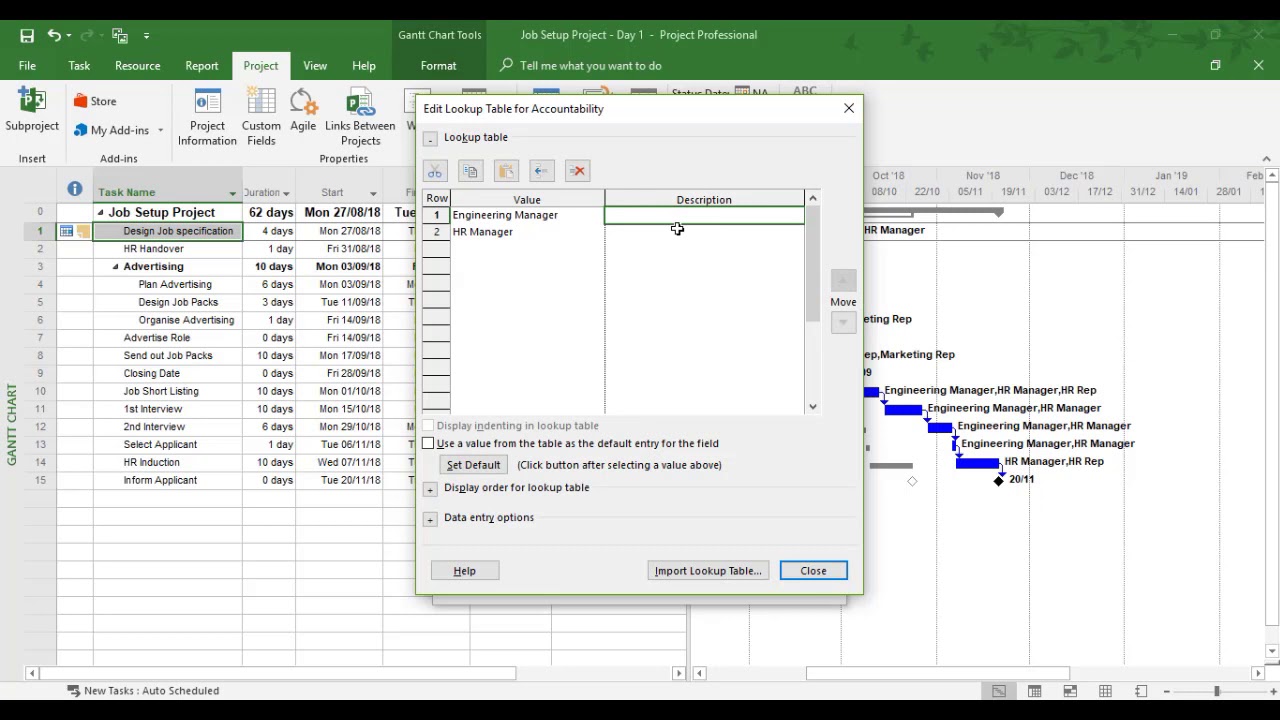 Insert and Lookup Custom Fields in Microsoft Project