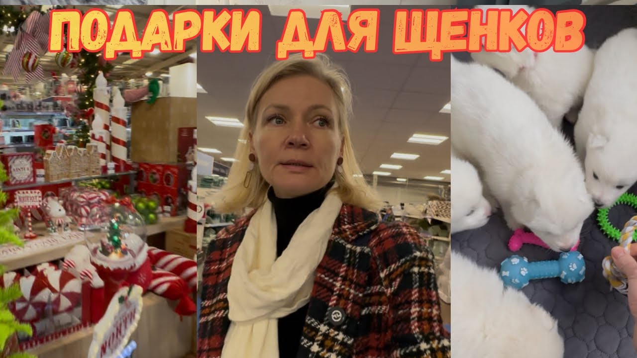 Обзор магазина The Range + покупки для щенков | Рождественское настроение