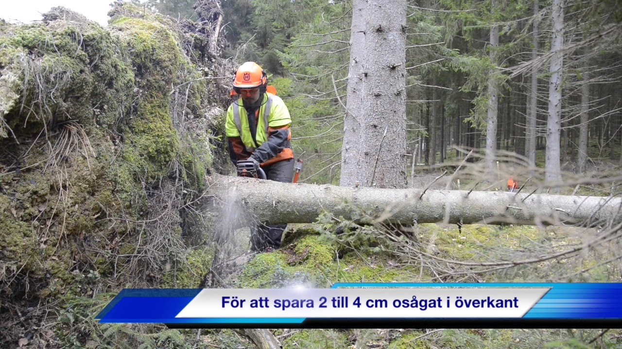 Stormfällt 1