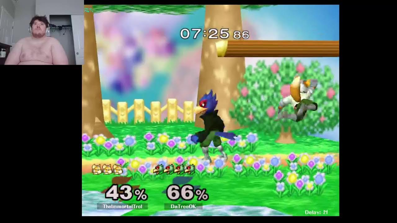 SMASH BROS MELEE