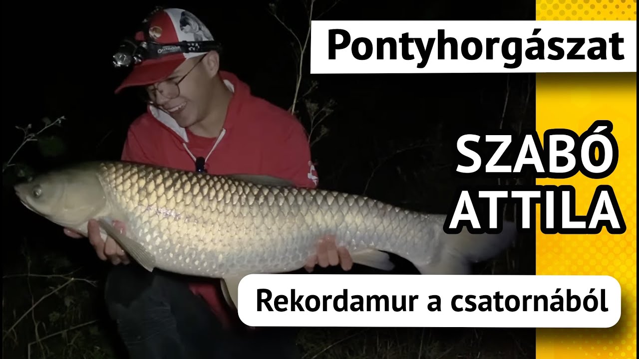 Rekordamur a csatornából - Szabó Attila