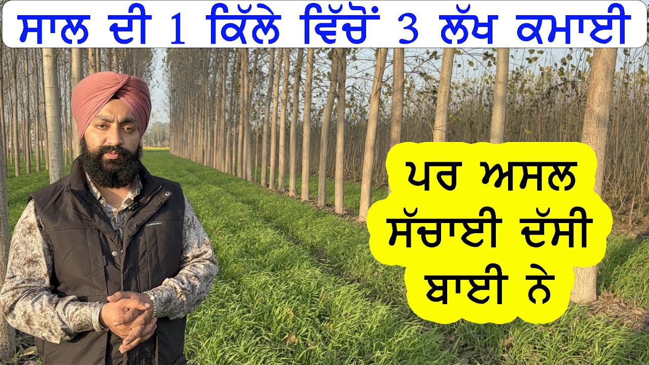 ਆ ਫਸਲ ਦਿੰਦੀ ਆ ਕਿੱਲੇ ਦੀ 3 ਲੱਖ ਕਮਾਈ ਕੋਈ ਫਜ਼ੂਲ ਖਰਚਾ ਨਹੀਂ 