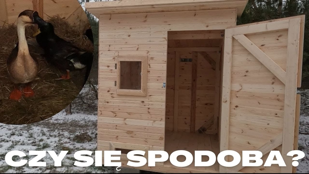 Kacznik na bazie