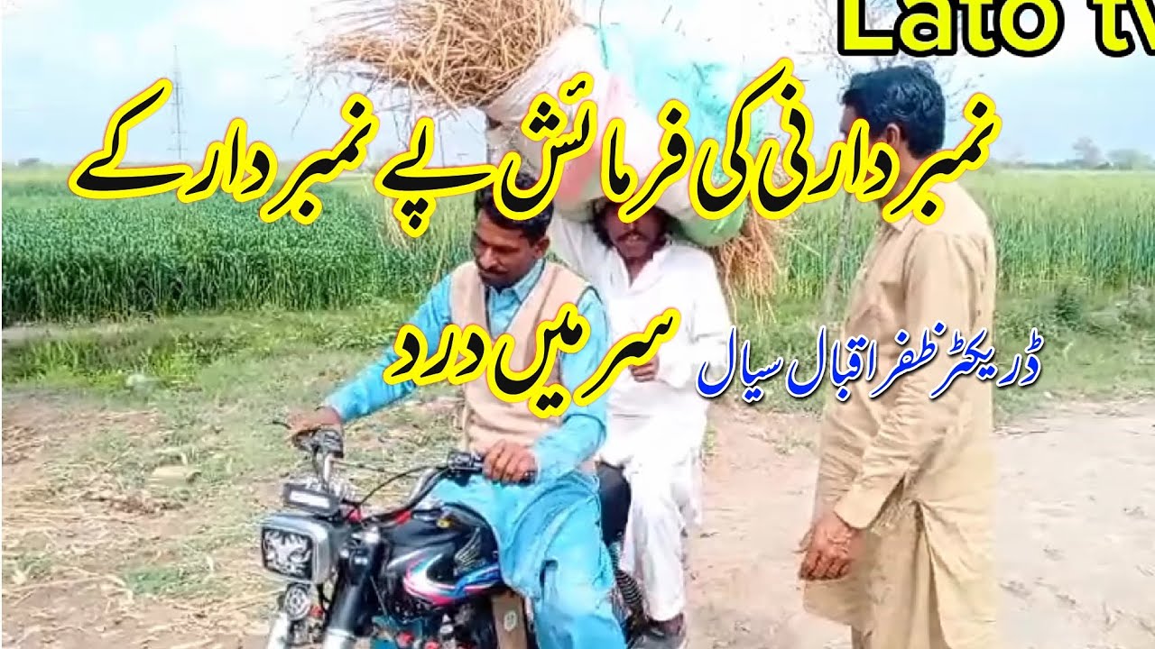 Nambar darni ki farmaeish pa nambardar ka sar ma darad